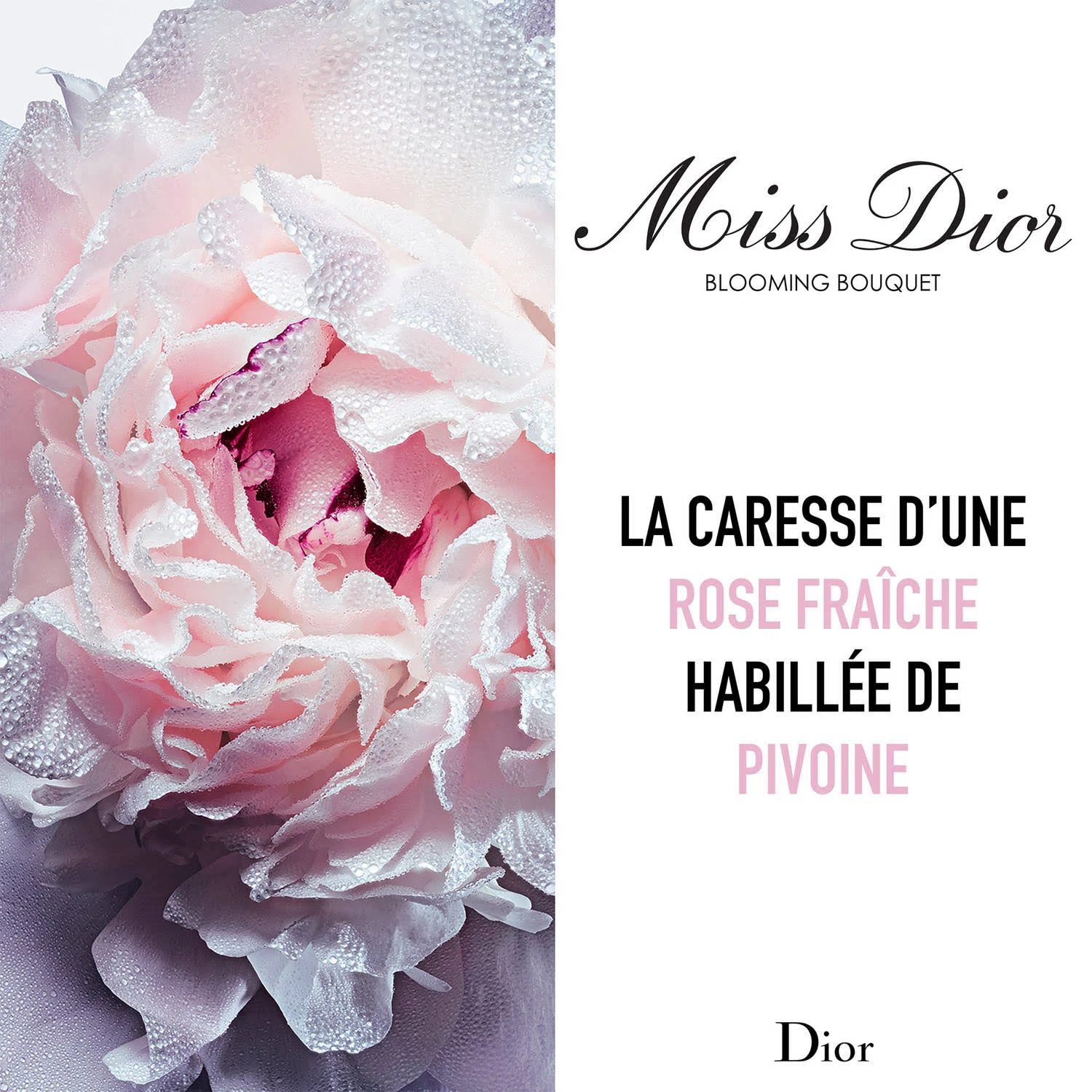 Dior%20Miss%20Dior%20Blooming%20Bouquet%20Edt%2050%20ml