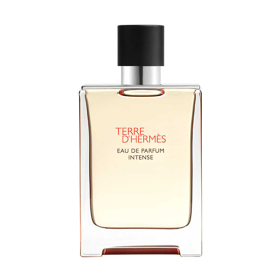 Terre D Hermes Edp Intense 100 ml