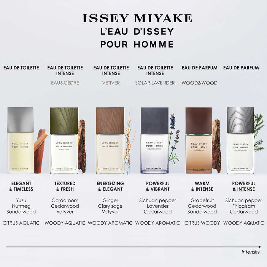 Issey Miyake L Eau D Issey Pour Homme Refillable Edp 125 ml