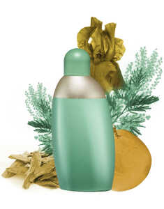 Cacharel Eden Edp 50 ml