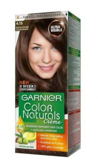 Garnier Çarpıcı Renkler Saç Boyası 4.15 Buzlu Kestane